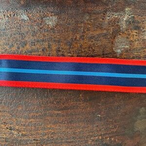 J Crew Reb and blue ribbon belt